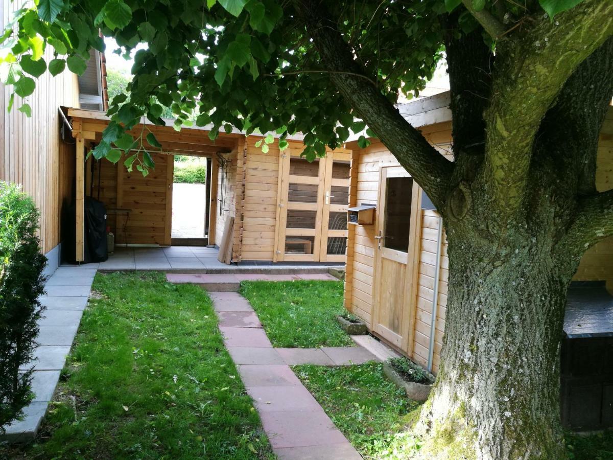 Ferienhaus Glucksmoment Grasellenbach Екстериор снимка